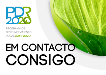 PDR 2020 em contacto consigo